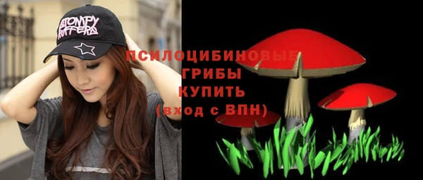 меф Алексин