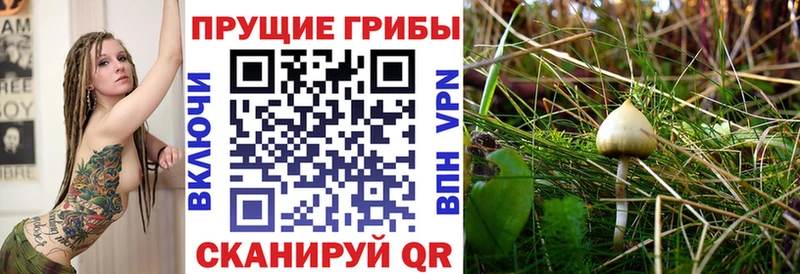 Псилоцибиновые грибы Magic Shrooms Зверево